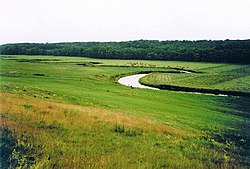 Tollensenjoen viljeltyä laaksoa heinäkuussa 1996