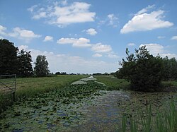 Landskap tussen Bergambacht en Schoonhoven