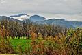 Chakdara, Lower Dir