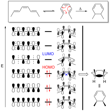 Disrotatory ring closing reaction