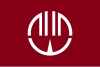 Flag of Nirayama