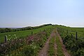 The footpath up the western slope of Ridgeway Hill from the car park