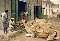 Yemeni man tying his futah (sarong). Sometimes people keep money or small utensils in the folds of the futah.