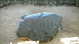 Plymouth Rock.