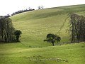 Image 28Sheep on Tegdown Hill (from Brighton and Hove)