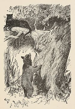 Baloo Viidakkokirjan vuoden 1895 painoksen kuvituksessa.
