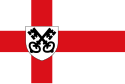 Flagge des Ortes Havelte