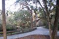 Walkway by the Hillsborough River