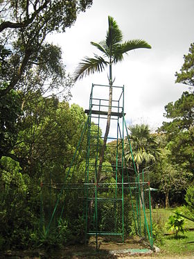 Image illustrative de l’article Jardin botanique de Curepipe