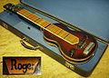 Lap Steel Gitarre