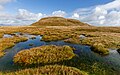 17. Tőzegláp a Doune Hill alatt (Luss Hills, Skócia) (javítás)/(csere)