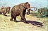 Columbian Mammoth