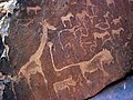 Lion Twyfelfontein (Namíbia)