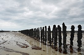 Côtes-d'Armor en Bretagne.