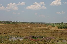 Paisaxe de Oshana