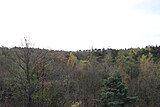 Lesní porost přírodního parku Košíře-Motol