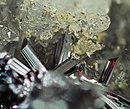Tiefrot durchscheinende Samsonit-Mikrokristalle auf Quarz