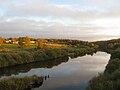 O Velikaya em Selikhnovo, distrito de Pushkinogorsky