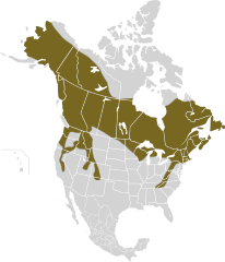 Mapa występowania