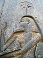 Сешат уклесана на полеђини престола седеће статуе Рамзеса II у храму Амуна у Луксору. Датира из око 1250. п. н. е.[3]