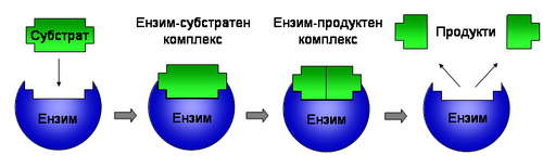 Съответствие тип ключ-ключалка