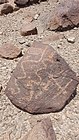 Scattered rock petroglyphs dot the Wadi Saham, Fujairah
