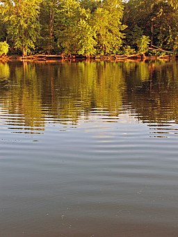 Merrick State Park.