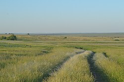 Steppe landscape in Kurmanayevsky District