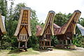 Image 91Tana Toraja in South Sulawesi, one of Destination Management Organization in Indonesia (from Tourism in Indonesia)