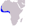 Distribución de S. teuszii