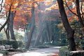 Public walkway, Edo East Garden