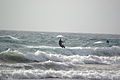 Kitesurfer in El Médano