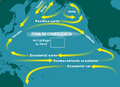 Le correnti oceaniche tendono a concentrare i detriti di spazzatura in una specie di grande isola di spazzatura al centro dell'oceano