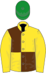 Yellow and brown (quartered), yellow sleeves, green cap