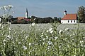 Kapelle Mariä Heimsuchung und Pfarrkirche St. Johannes der Täufer in Unterigling