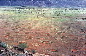 Círculos de fadas na área na Namíbia