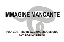 Immagine di Dianopachysaurus dingi mancante