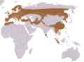 Aire de répartition de la Loutre commune