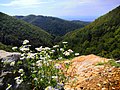 Kozara National Park