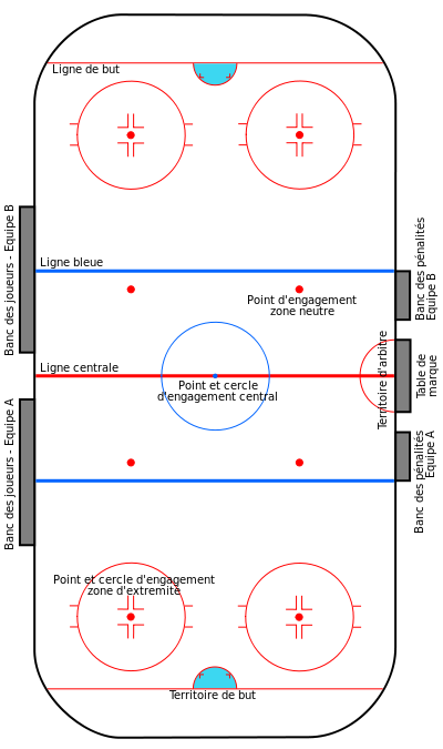 A pista de hóckey sobre xeo. En vermello liña central e liñas de gol. En azul: liñas de ataque.