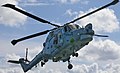 Westland Lynx della Royal Navy britannica[10]