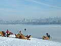 Sava Lake (Савско језеро)