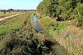 Die Schmida bei Absdorf (im Herbst)