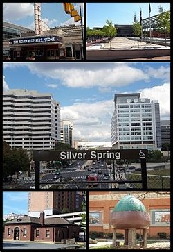 Billeder fra Silver Spring