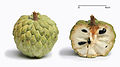 Sugar apple