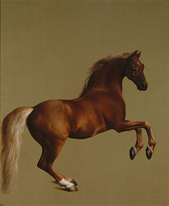 Whistlejacket, vers 1762, Londres, National Gallery.