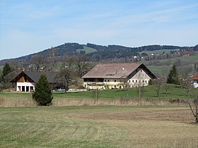 Oberhofen am Irrsee