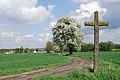 Památný strom a kříž poblíž vsi