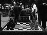 Social play on a vinyl board in a park in Kyiv