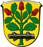 Brasão de armas de Langen